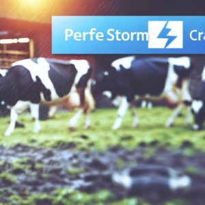 „Perfekter Sturm“ trifft walisische Milchbetriebe